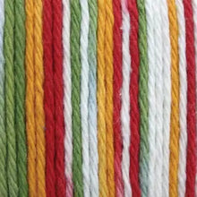 Load image into Gallery viewer, Custom Made Variegated Crochet Mesh Bag