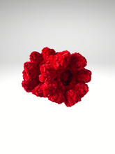 Load image into Gallery viewer, Juicy Couture Velvet Scrunchies
